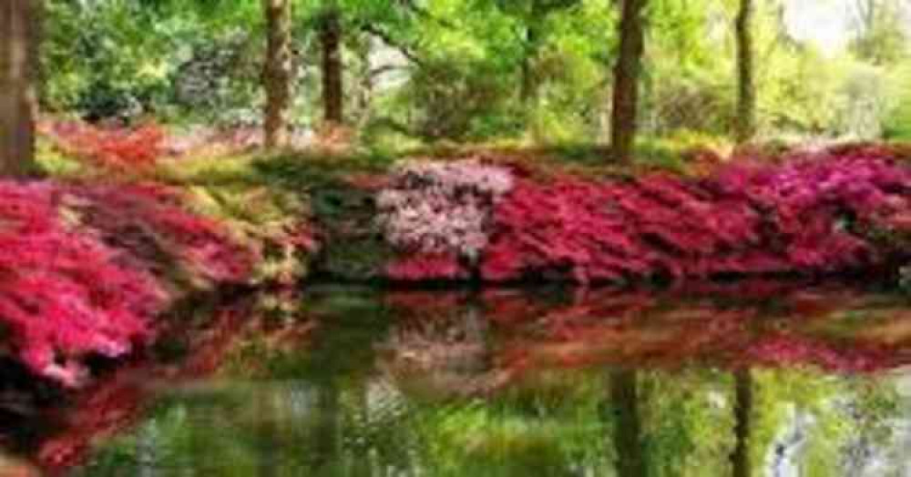 Close your eyes and imagine you are there... Close your eyes and imagine you are there...