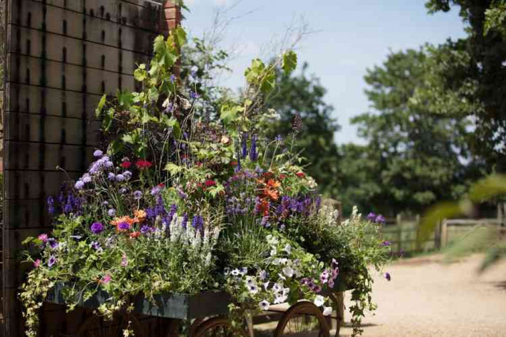 Petersham Nurseries to open next Wednesday