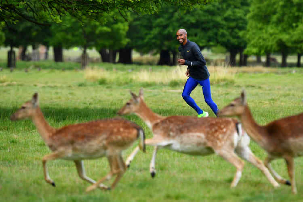 Mo looks happy and relaxed on a training run