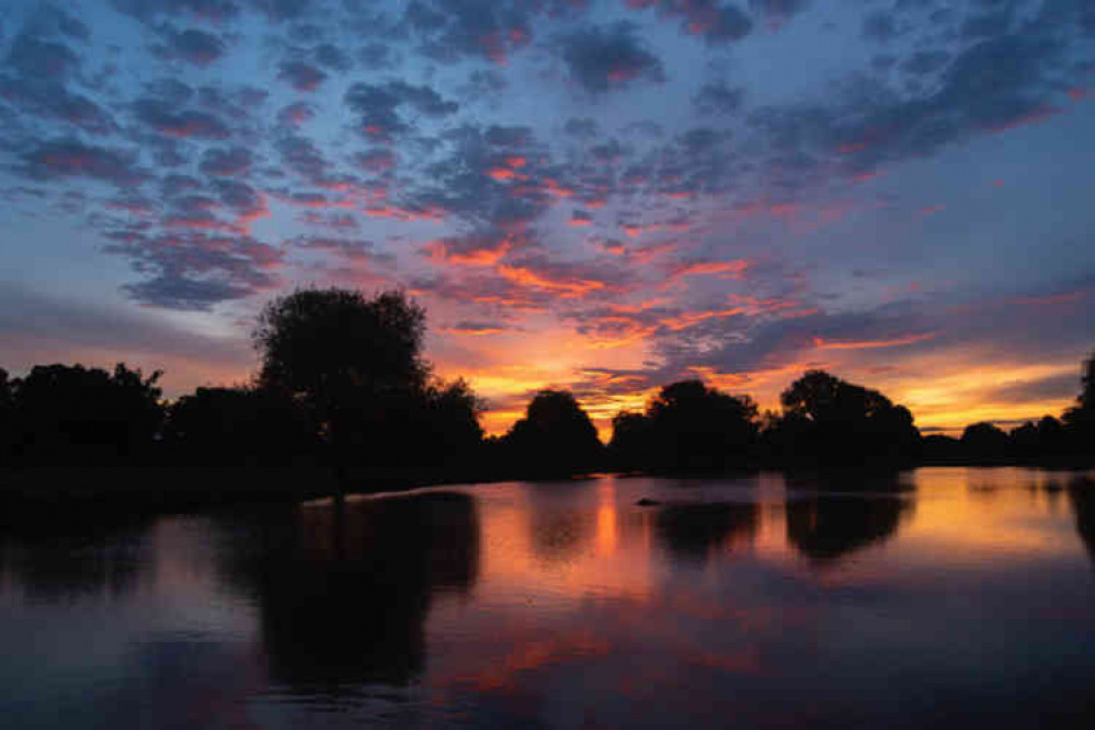 Leg of Mutton Pond,Bushy Park at 4.57am today