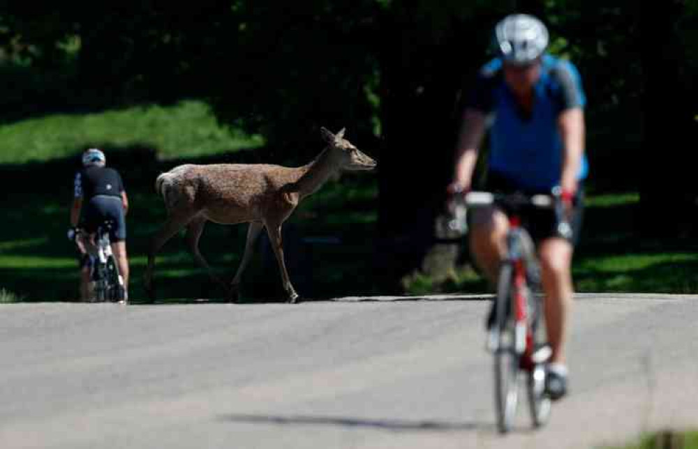 Cyclists welcome back to Richmond Park on Tuesday with new guidelines