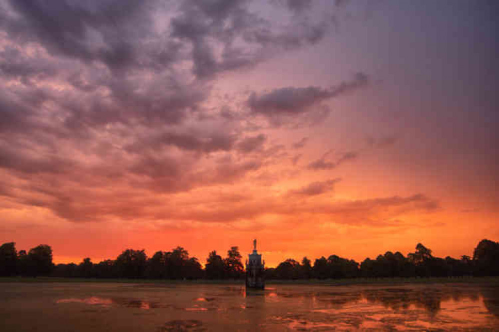 A blaze of orange at dawn (Photos by Sue Lindenberg)