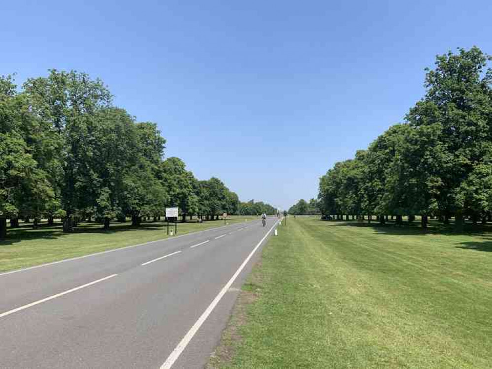 Cyclists in Bushy Park