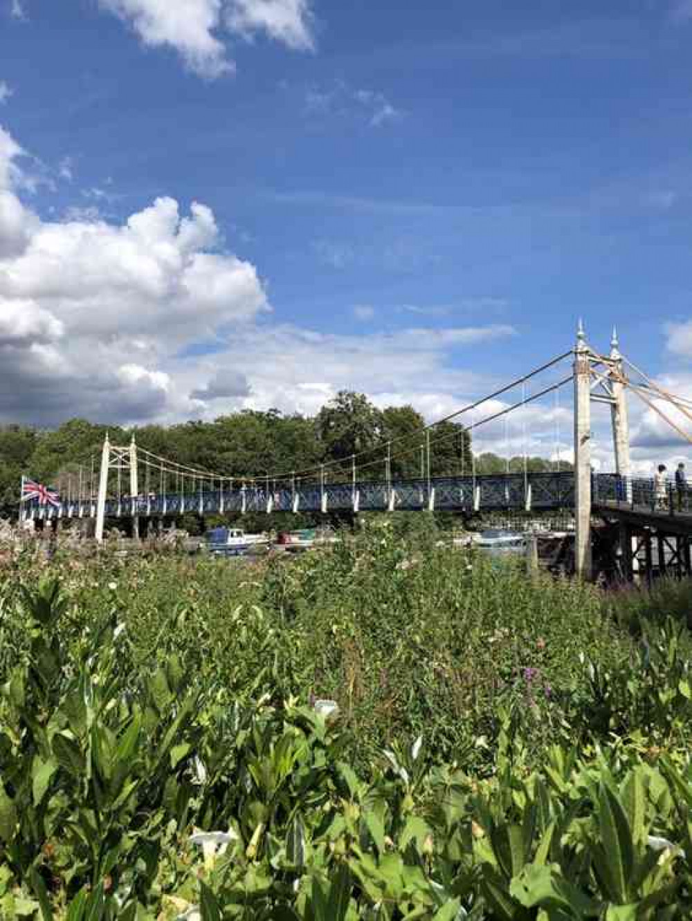 Teddington Lock today is peaceful and quiet (credit: Teddington MPS)