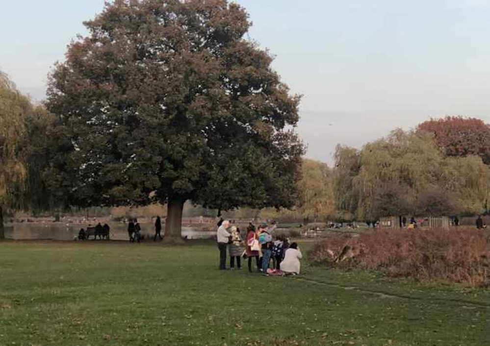 Bushy Park visitors getting too close to the deer. Photo by Leonoor Vader Bushy Park visitors getting too close to the deer. Photo by Leonoor Vader