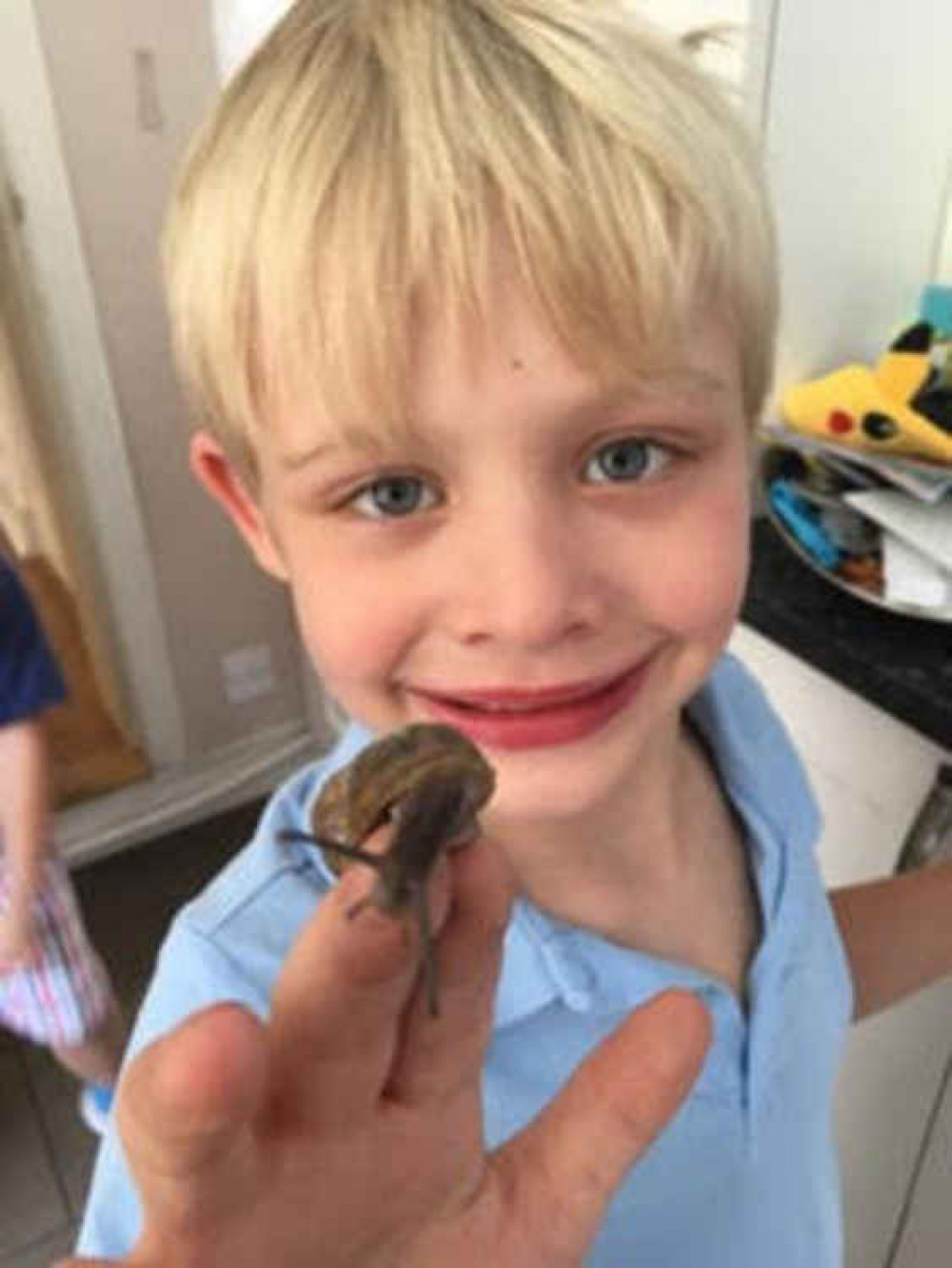 Jasper in his element with the insects