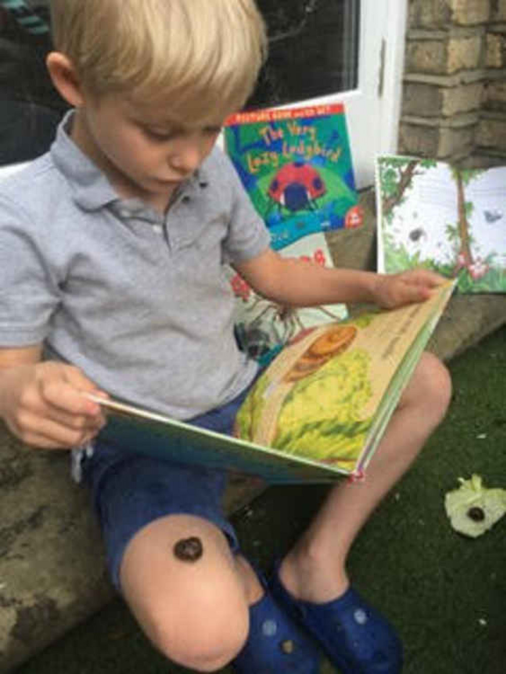 Jasper reading about animals Jasper reading about animals
