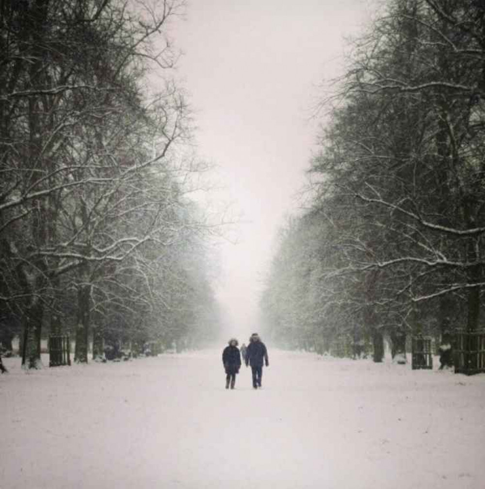 Bushy Park in the snow