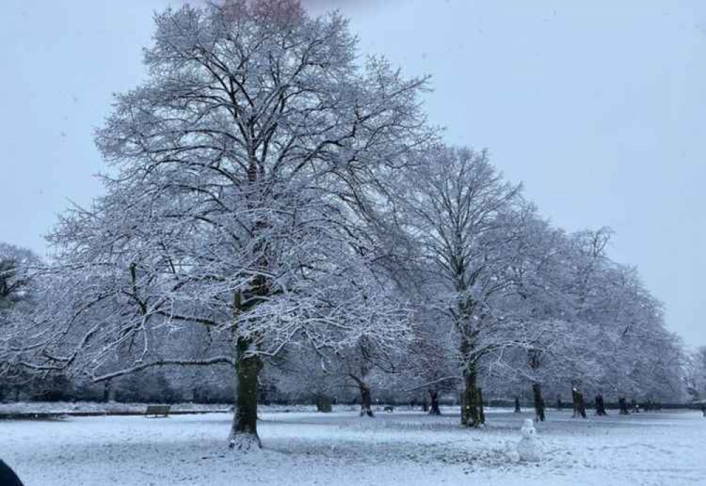 Bushy Park Credit: Chantal Korcz