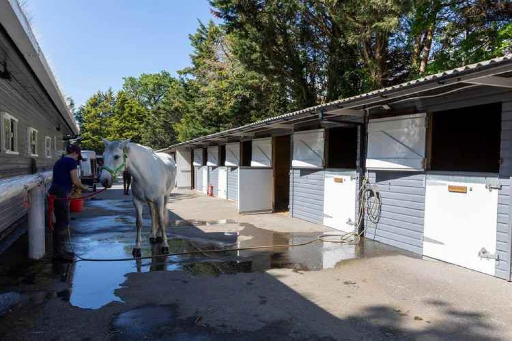 The outdoor stables (Credit: Cathy Cooper)