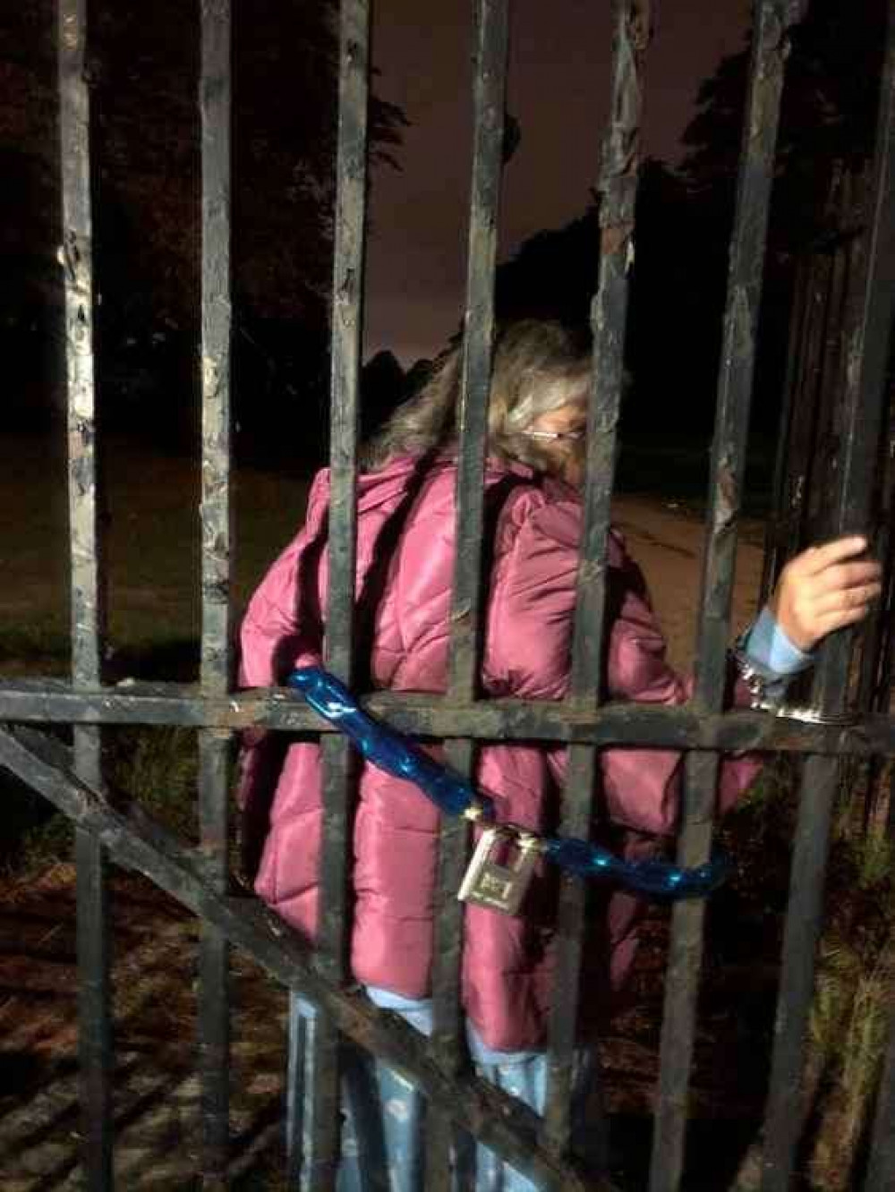 Last year protestors chained themselves to the gates in Bushy Park in opposition to the deer cull (Image: Hannah Blake)