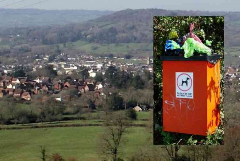 Stock image of dog waste bin courtesy of Ian S.