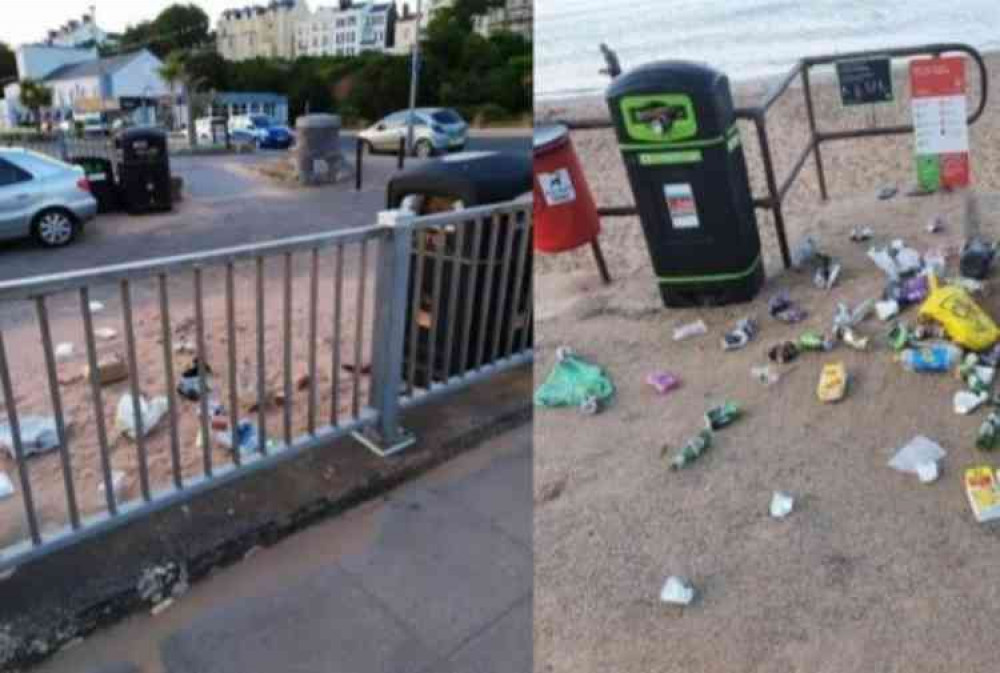 Some examples of the litter situation faced by the teams in East Devon. Image courtesy of EDDC.