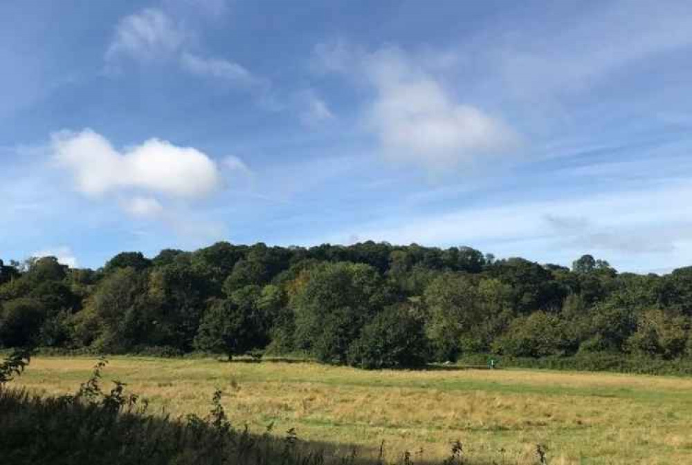 View of Roundball Hill from Honiton Bottom Road