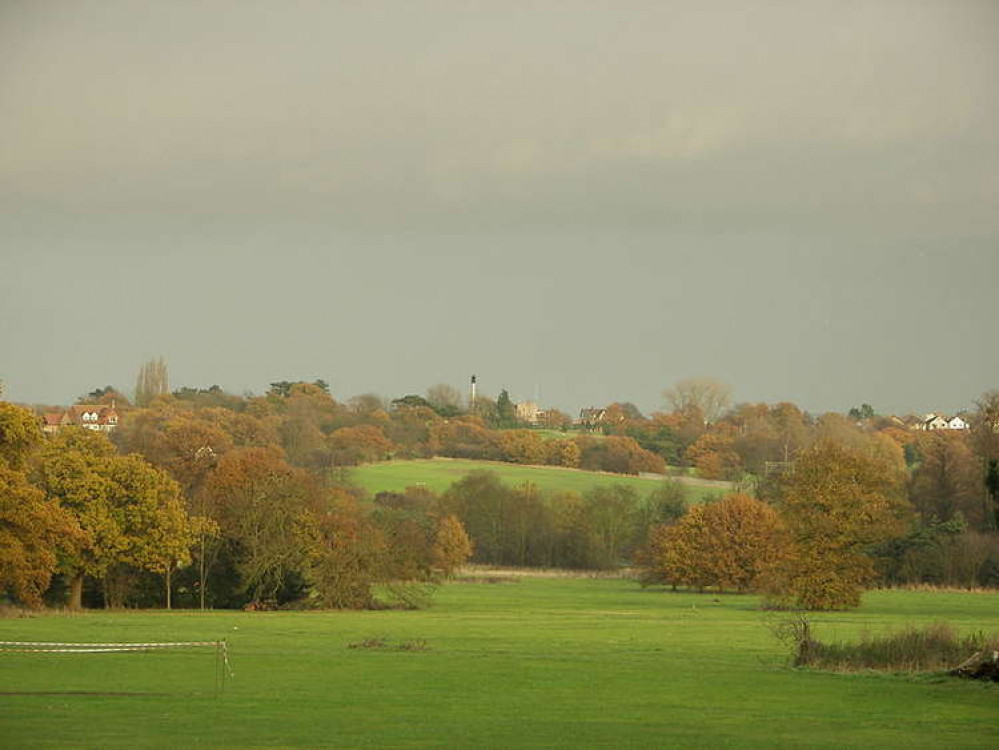 Hylands Park