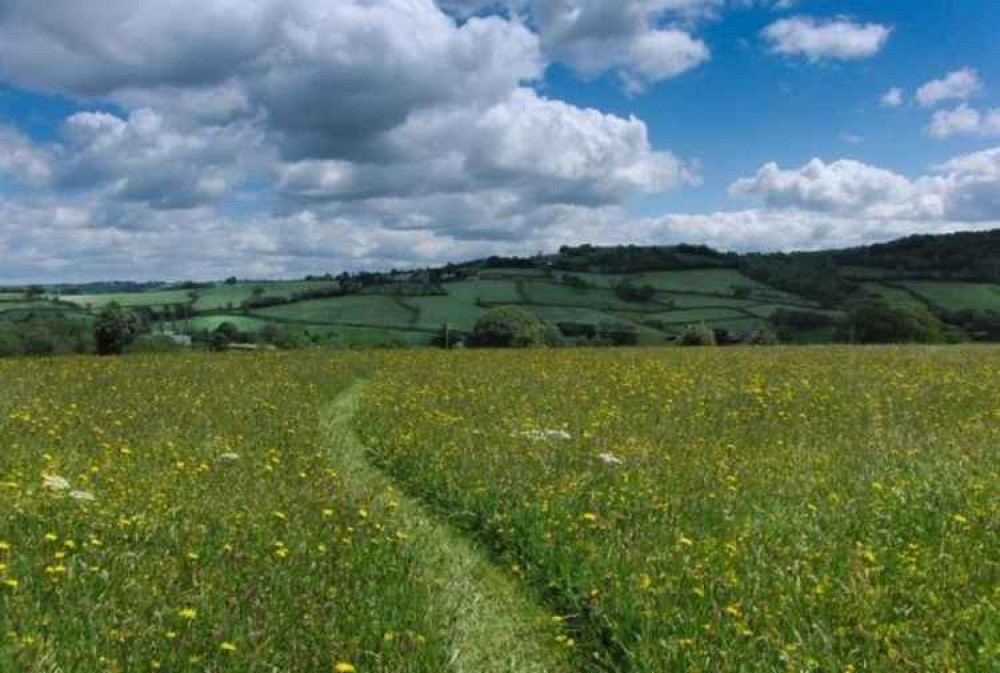 Goren Farm, an area of outstanding natural beauty near Honiton