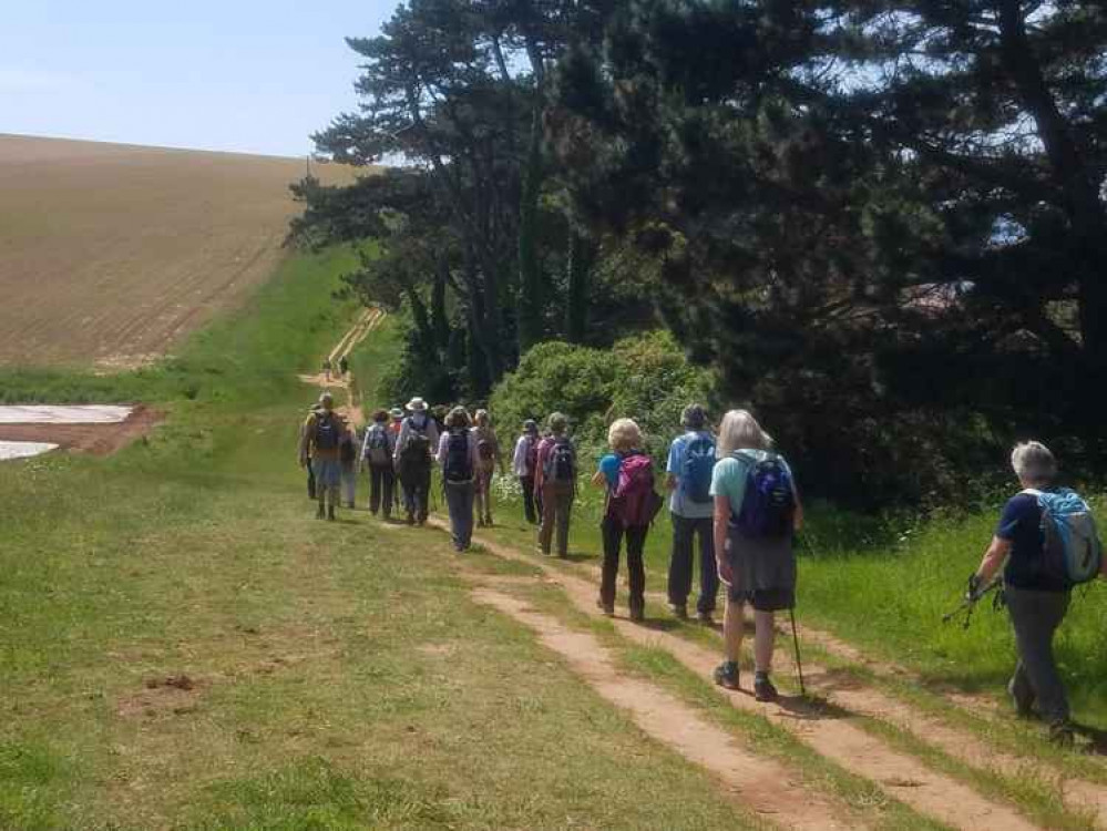 Picture by Honiton Walking Club