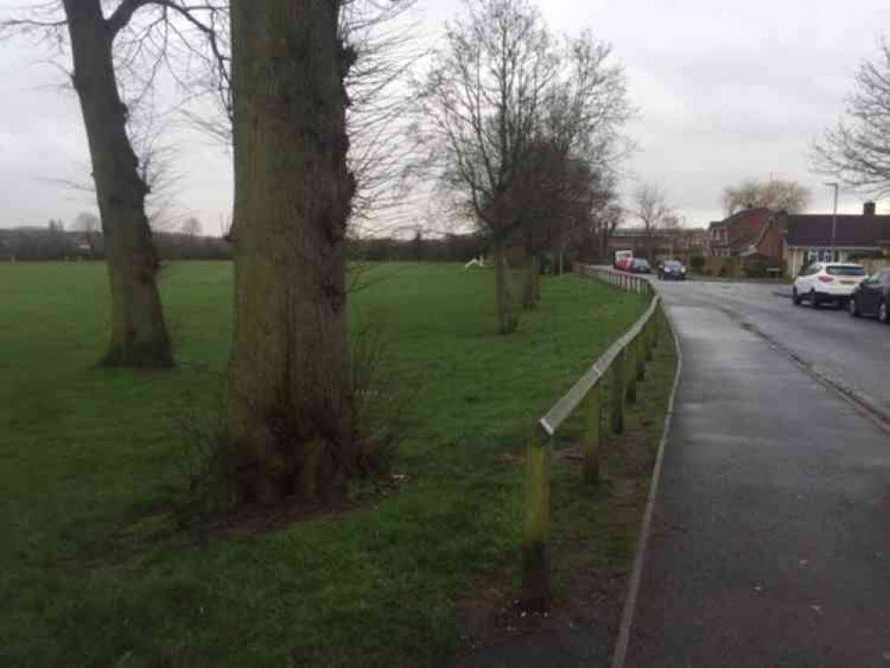 Concerned residents said Western Park trees would have to be removed to make way for the substation