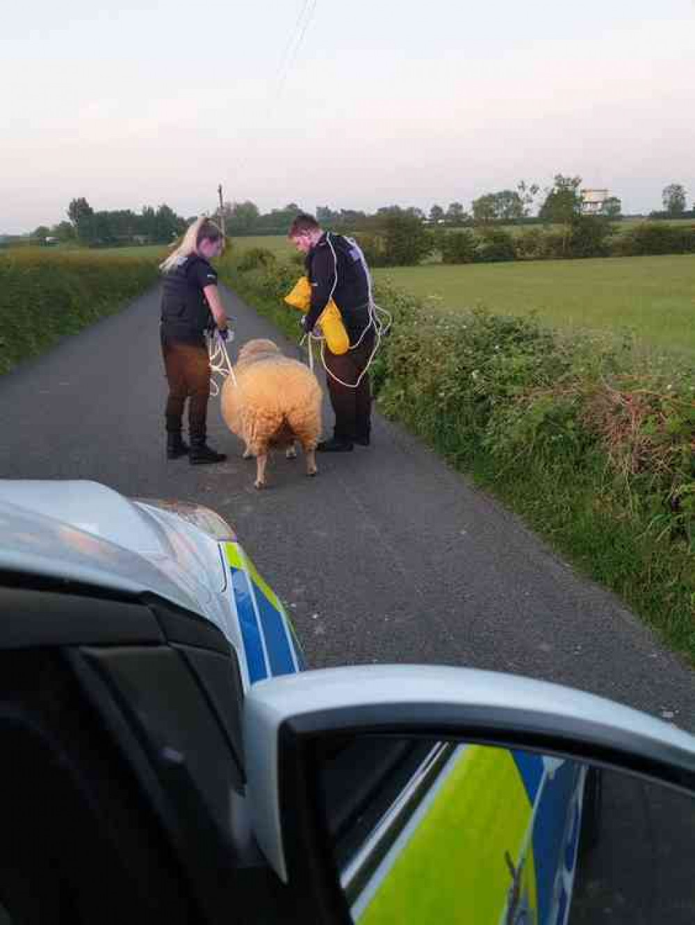 Image: Derbyshire Constabulary