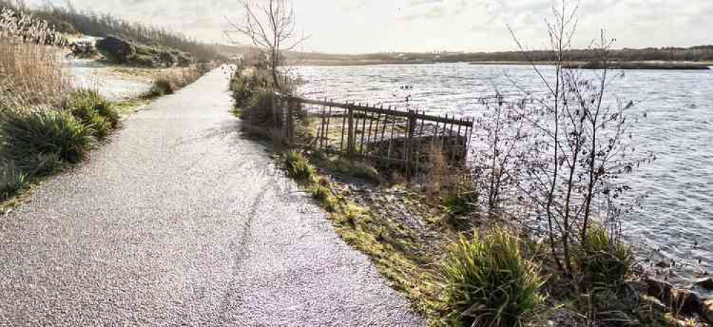 The incident happened at Albert Village Lake last weekend. Photo: Instantstreetview.com