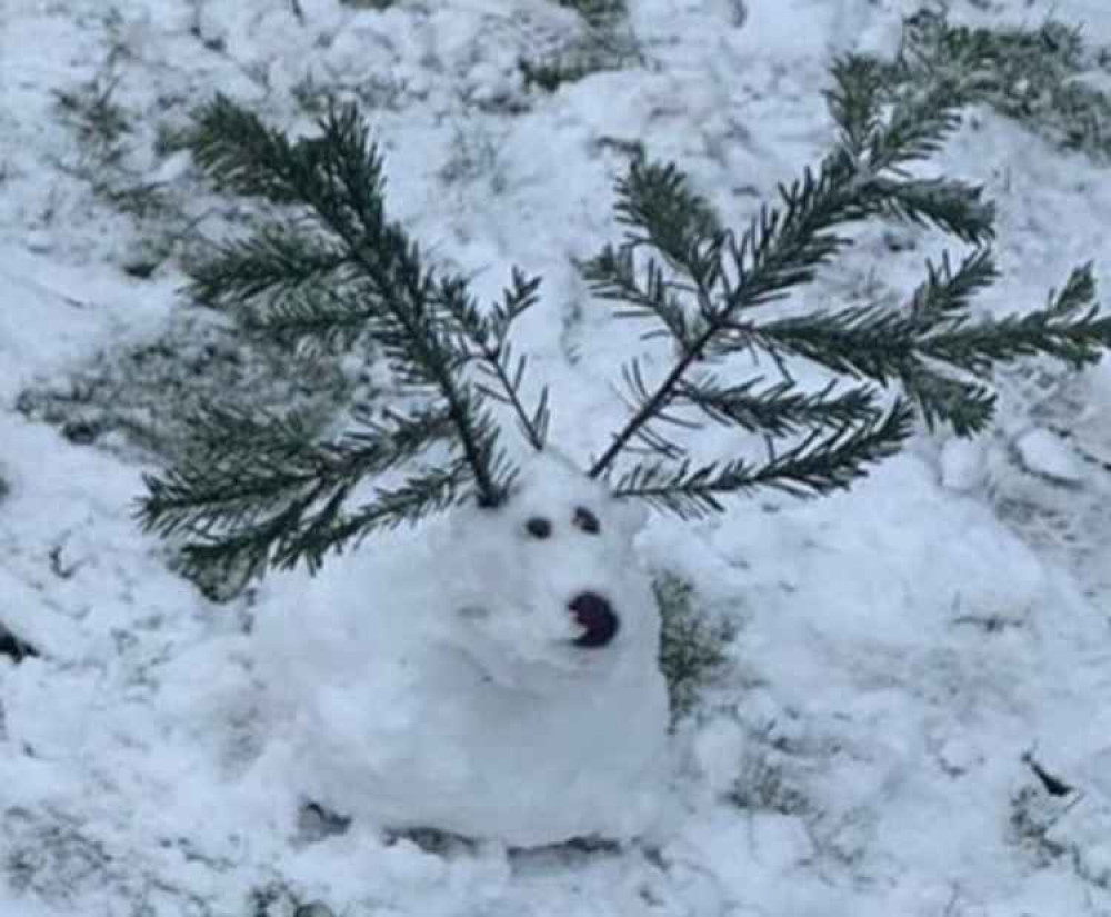 Snow reindeer