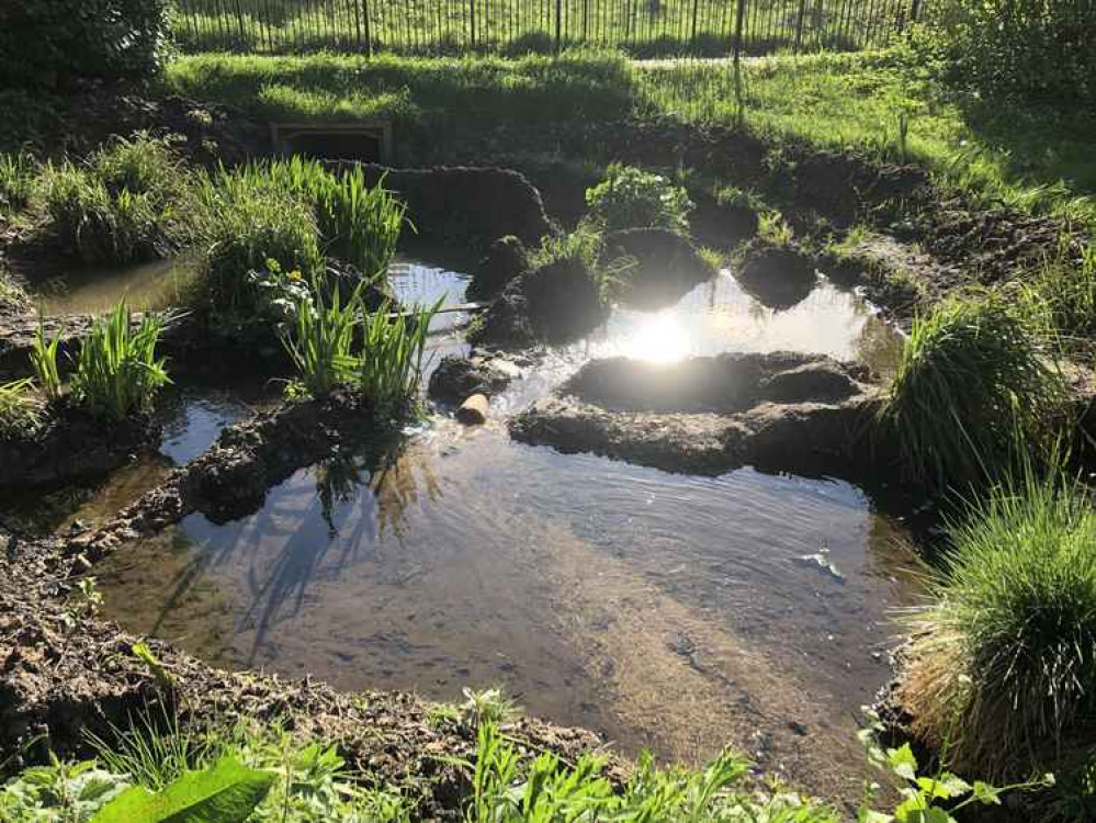 Now the pond has water the ducks can use again