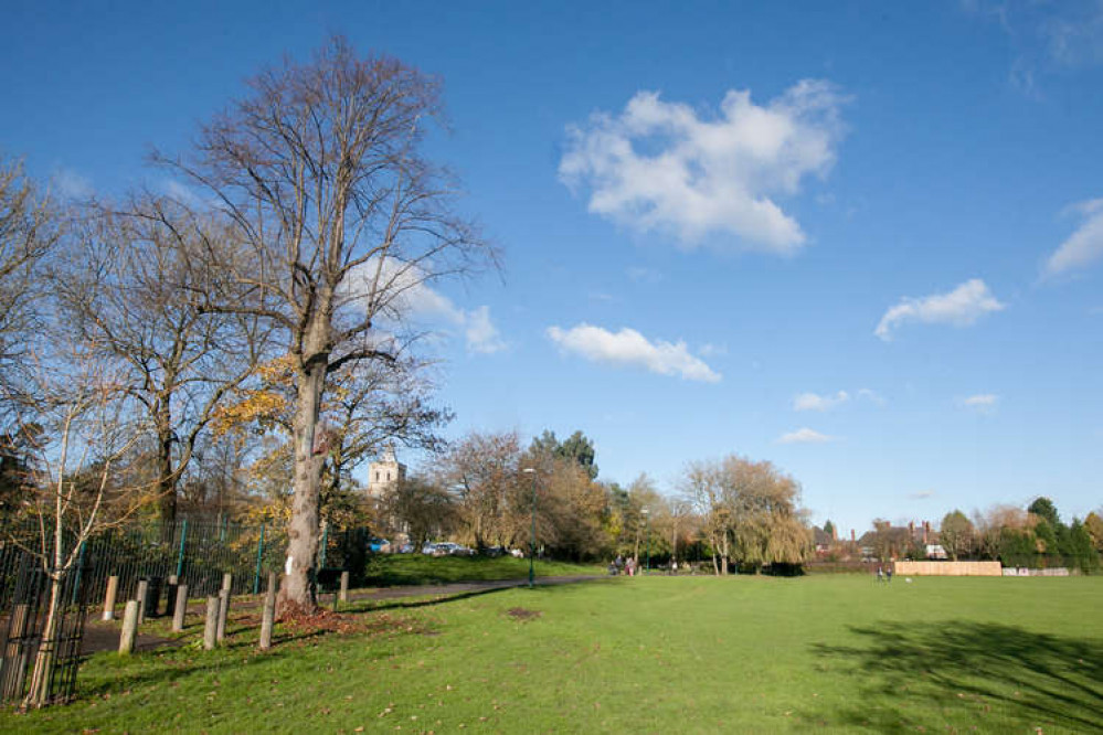 The state of the Bath Grounds is being monitored by the advisory group