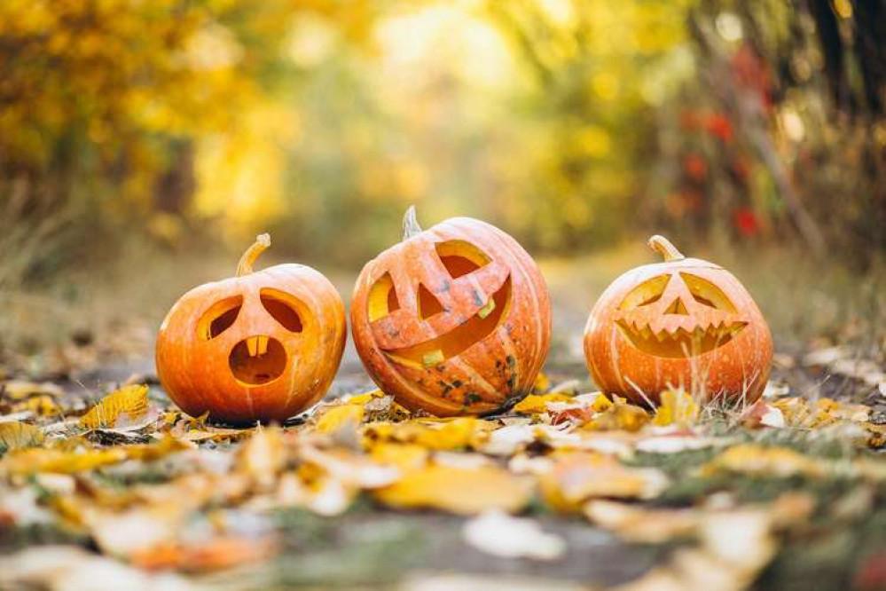 It's Halloween weekend. Image: Pixabay