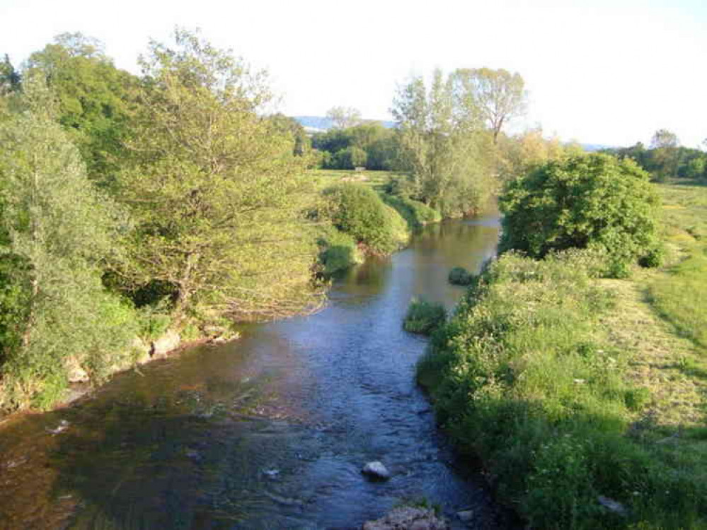 The River Otter at Ottery St Mary. Picture courtesy of Derek Harper.