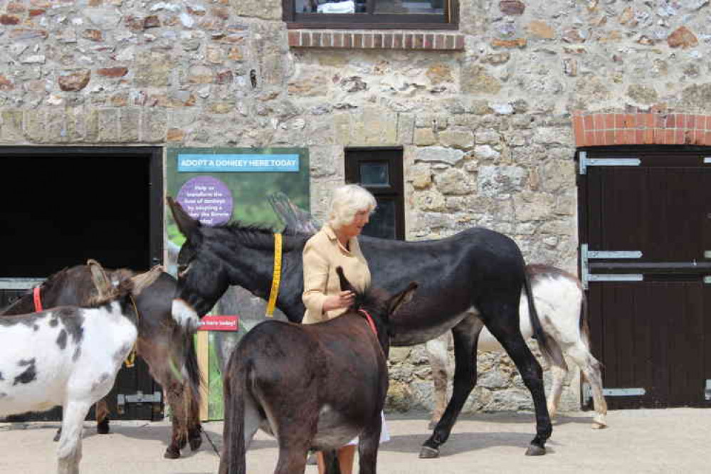 HRH The Duchess of Cornwall visiting The Donkey Sanctuary in Sidmouth