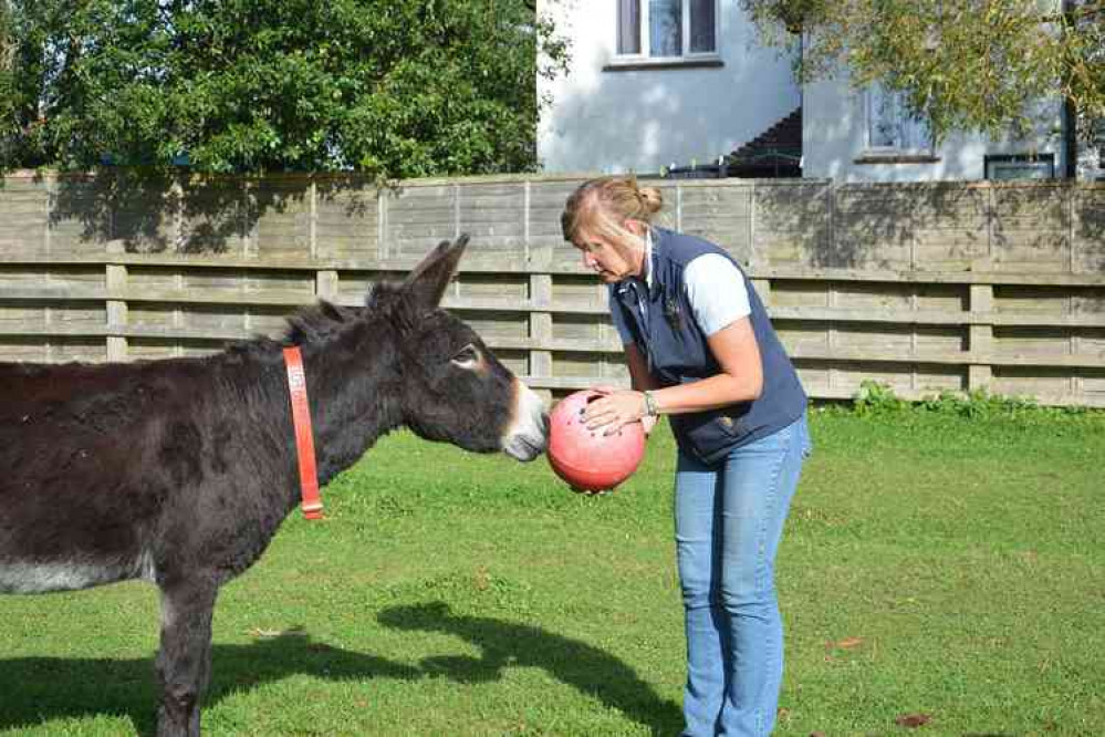 Maxine playing with resident donkey Hardy