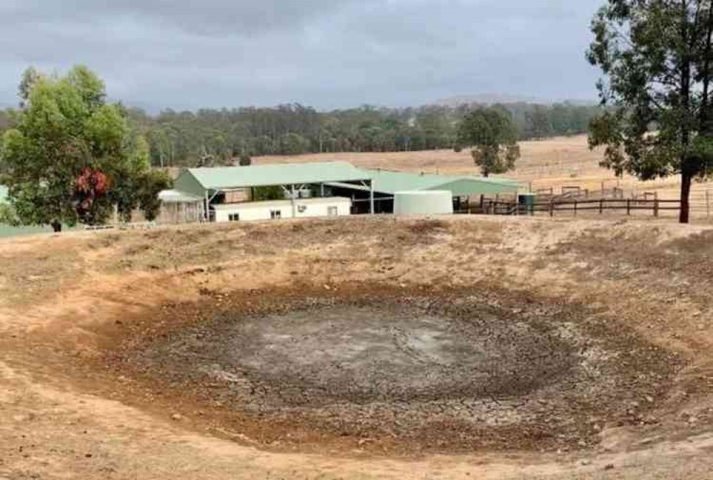 The Good Samaritan Donkey Sanctuary (GSDS) is the largest in Australia. Image courtesy of GSDS.