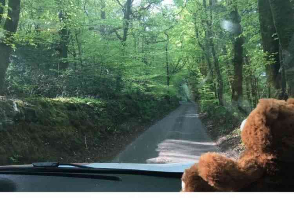 Ted, helping EDDC's Beach Officer carry out patrols and checks. Image courtesy of EDDC.