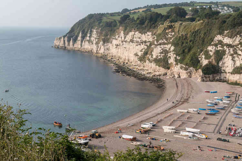 The beach and bay in Beer, Beer Head can be seen in the distance. Image courtesy of Christine Matthews.