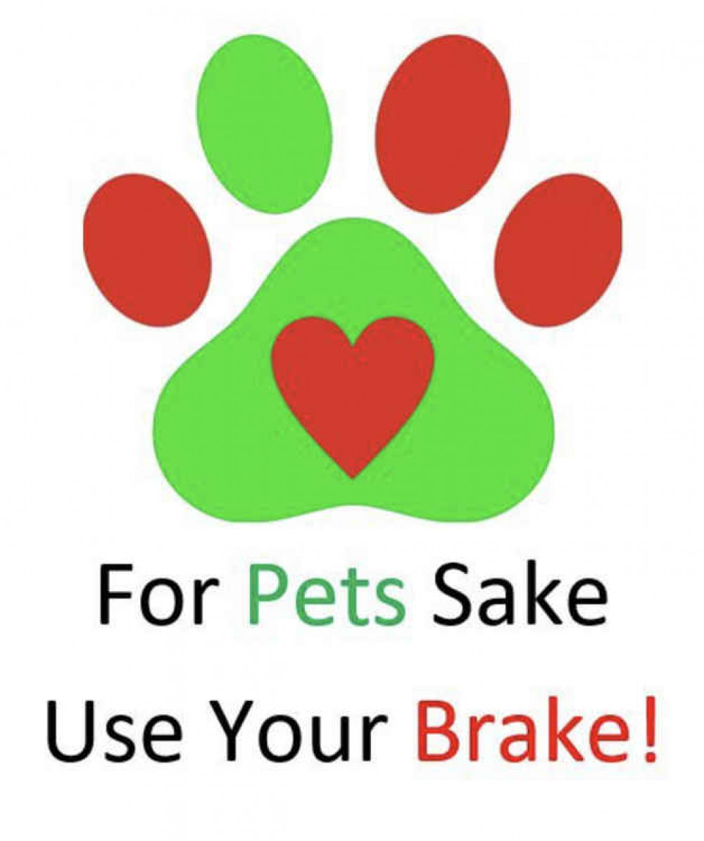 Alfie's logo, raising speed awareness in residential roads. Credit: Laura Southcott