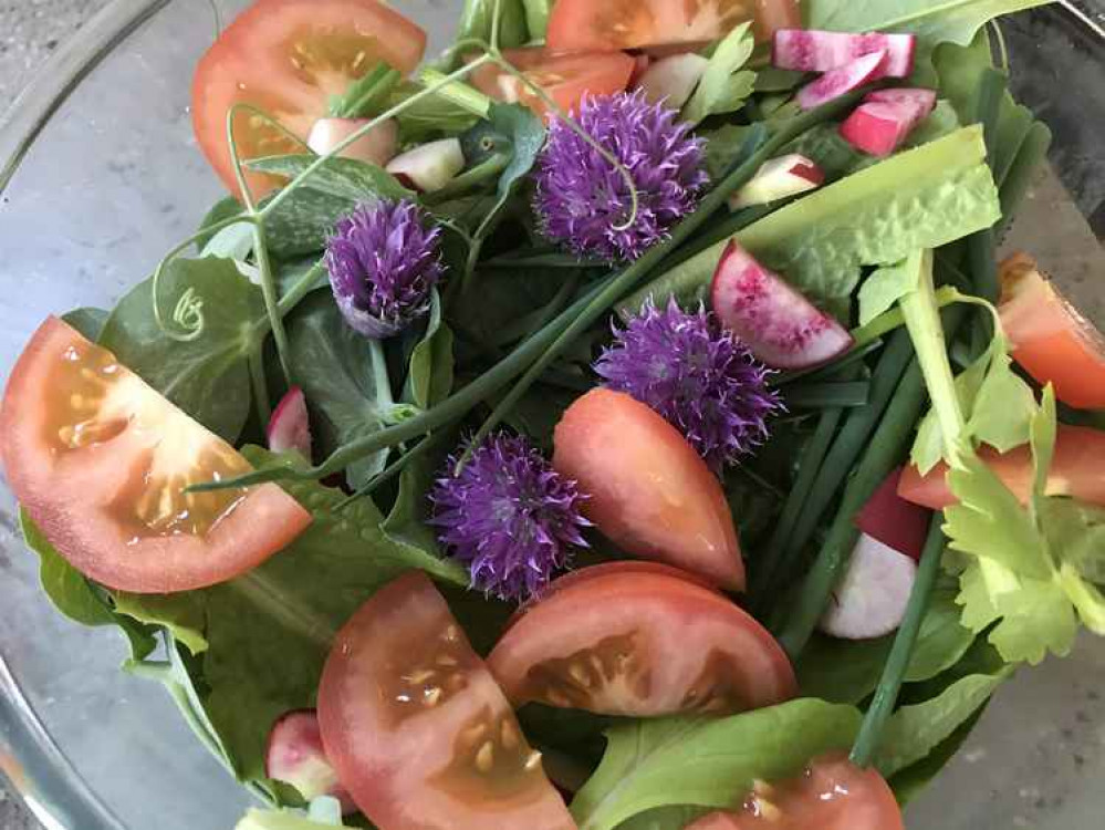 Homegrown tomatoes, salad onions, pea shoots, celery, radish, lettuce and chives make a tasty salad