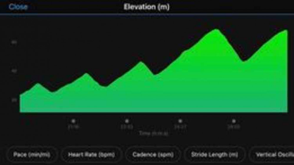 The parking meter elevation