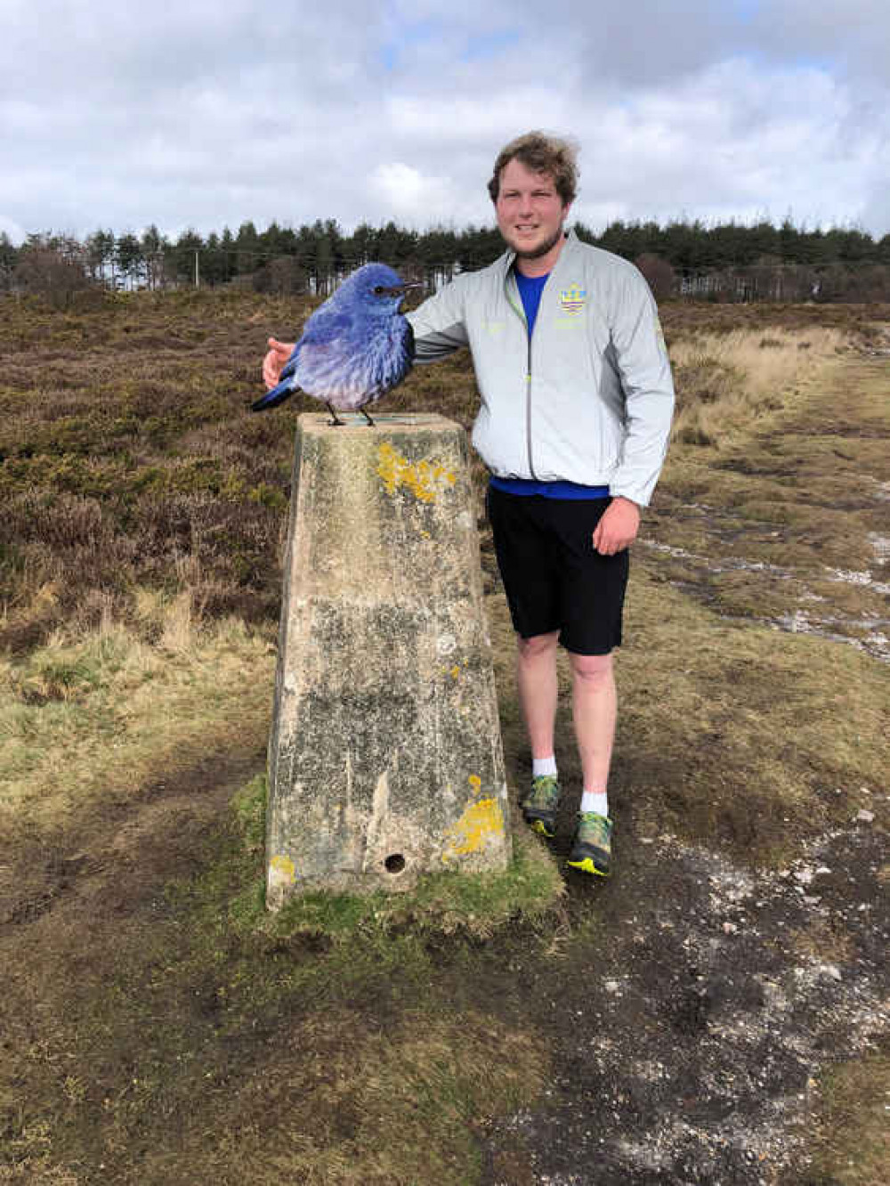 Kyle Baker encountered the bird on the trig point