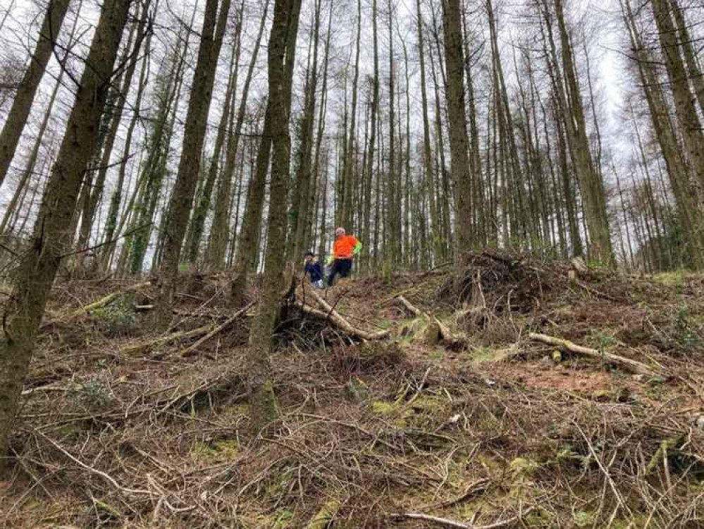 Helen Akay and Terry Bewes knowing what goes up, must come down!