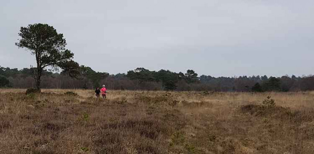 Jenny Kay and Alexa Baker realising short cuts sometimes take longer!