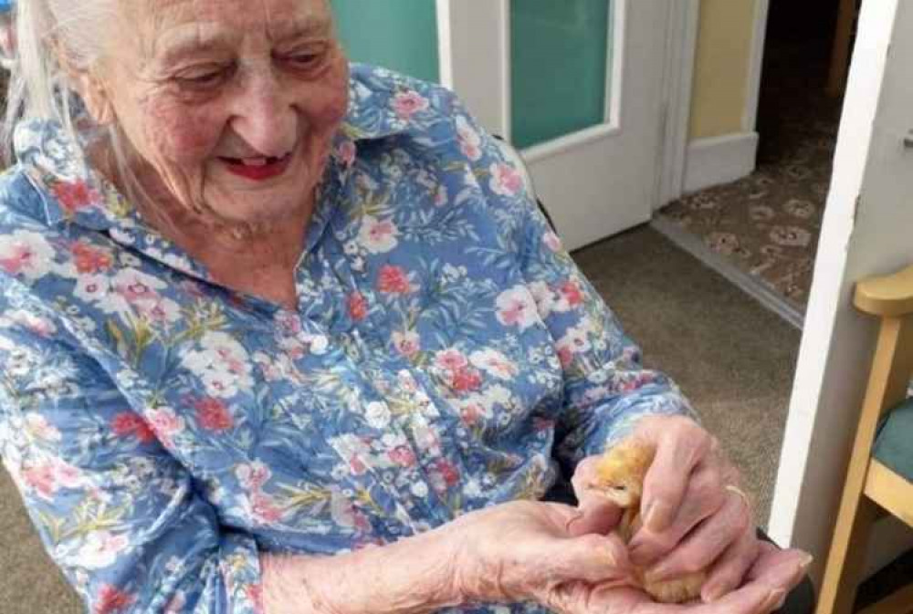 Margaret Ball with baby chick