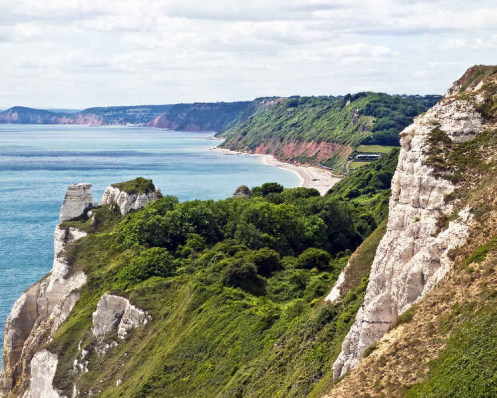 South West Coast Path at Beer Head. Picture, South West Coast Path, Adrian Olsen