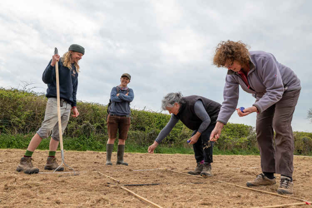 Planting the seeds at The Donkey Sanctuary