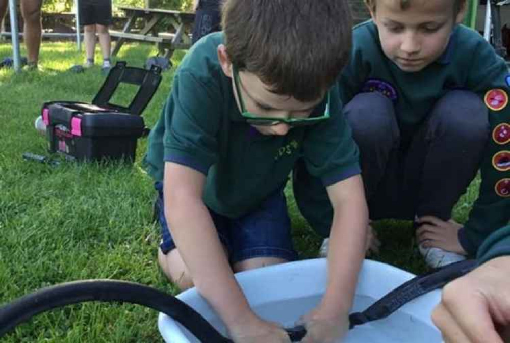 Cubs learning how to mend a puncture