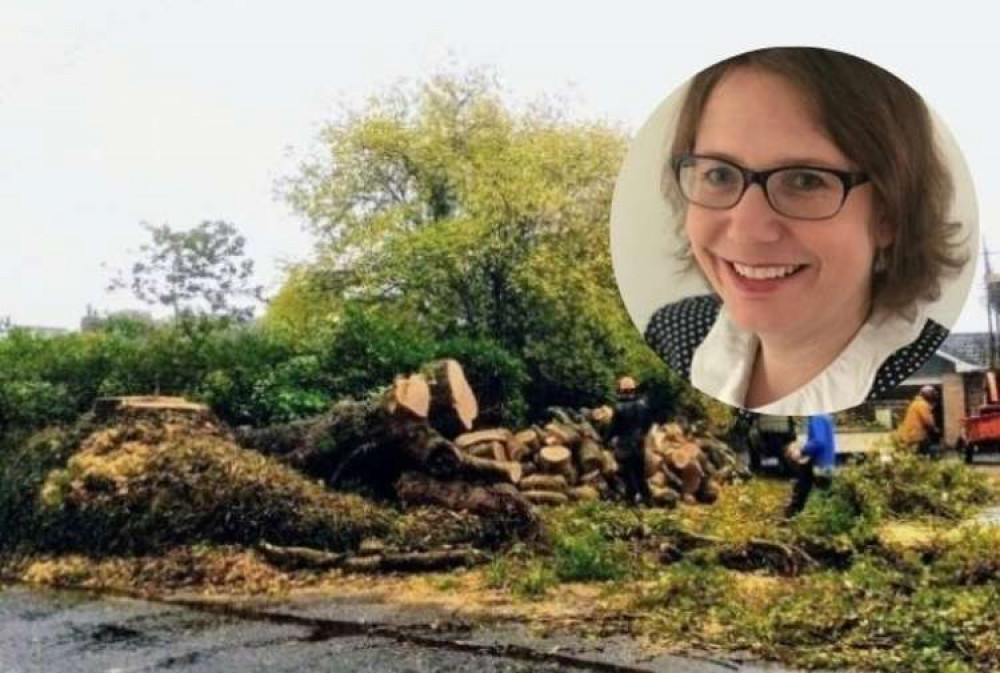 Destruction of trees at West Hill, and, inset, Cllr Jess Bailey Destruction of trees at West Hill, and, inset, Cllr Jess Bailey