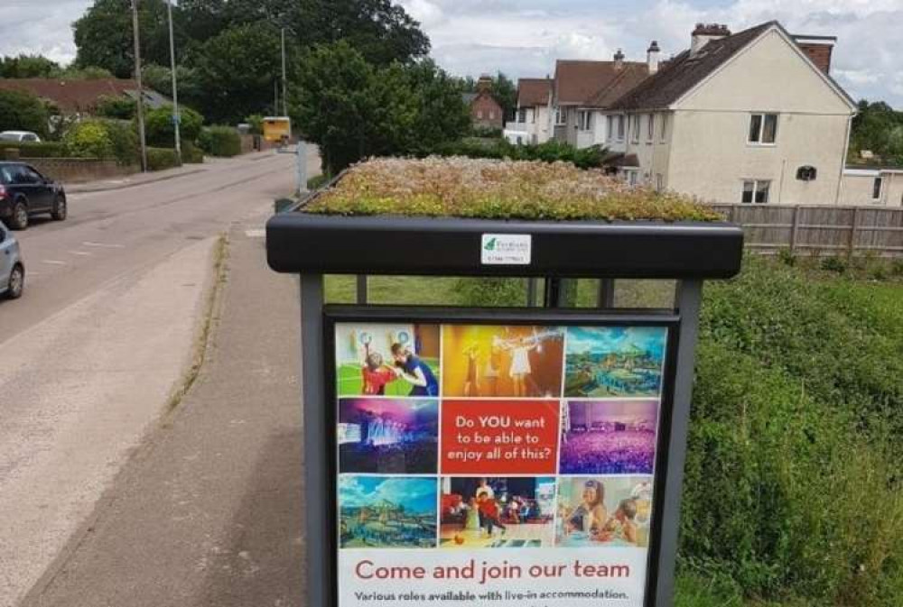 A bus shelter with a sedum roof, similar to the kind we could see in Sidmouth