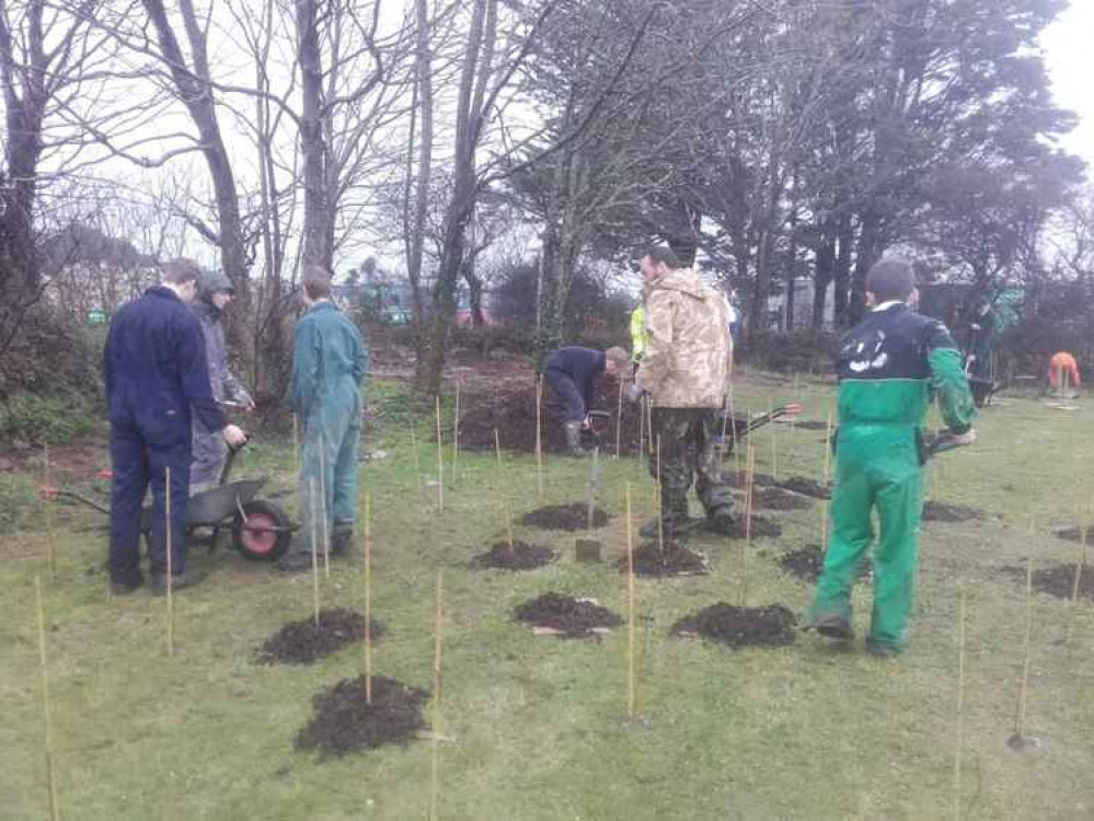 Helston Community College volunteers planting trees this autumn.