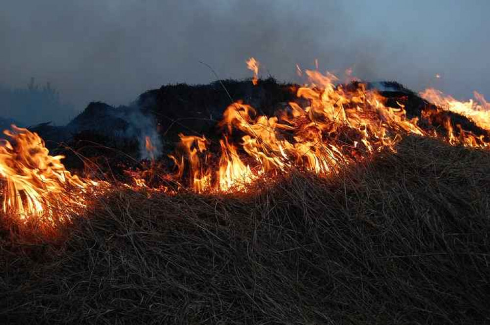 Image of a forest fire. File pic.