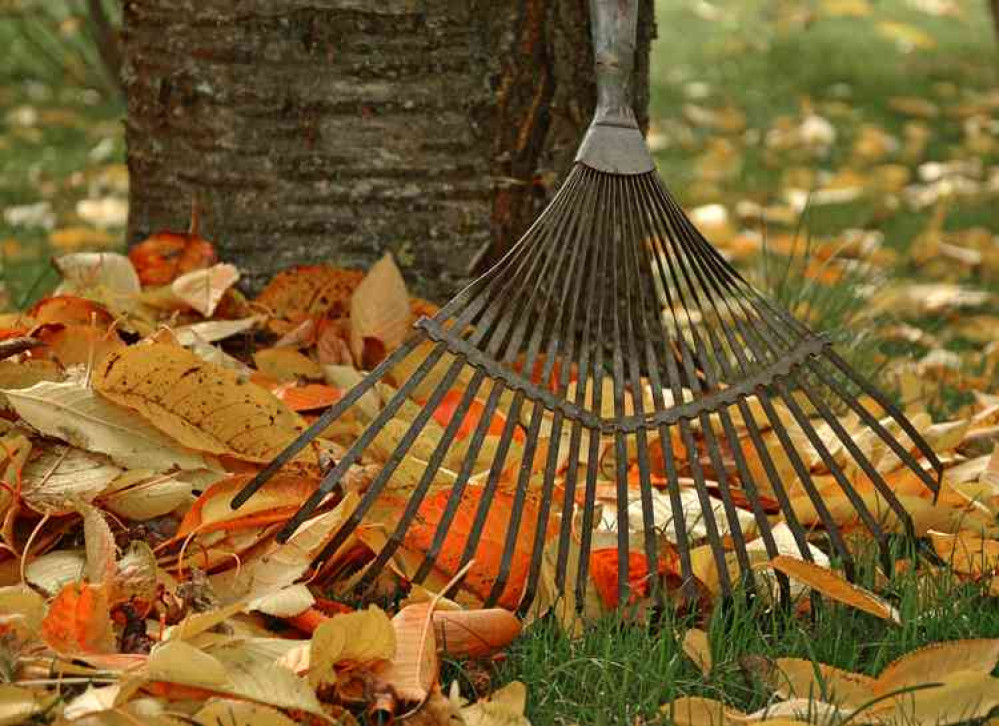 Avoid scrapes and scratches in the garden this autumn - or your operation might be cancelled