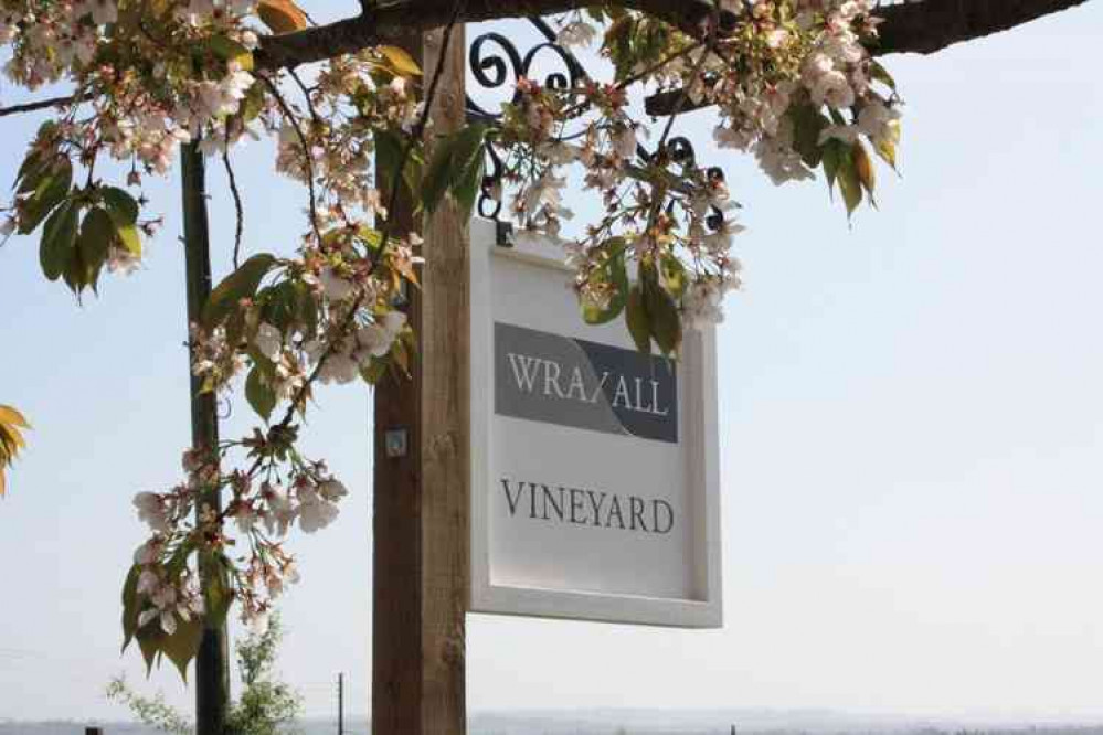 Wraxall Vineyard